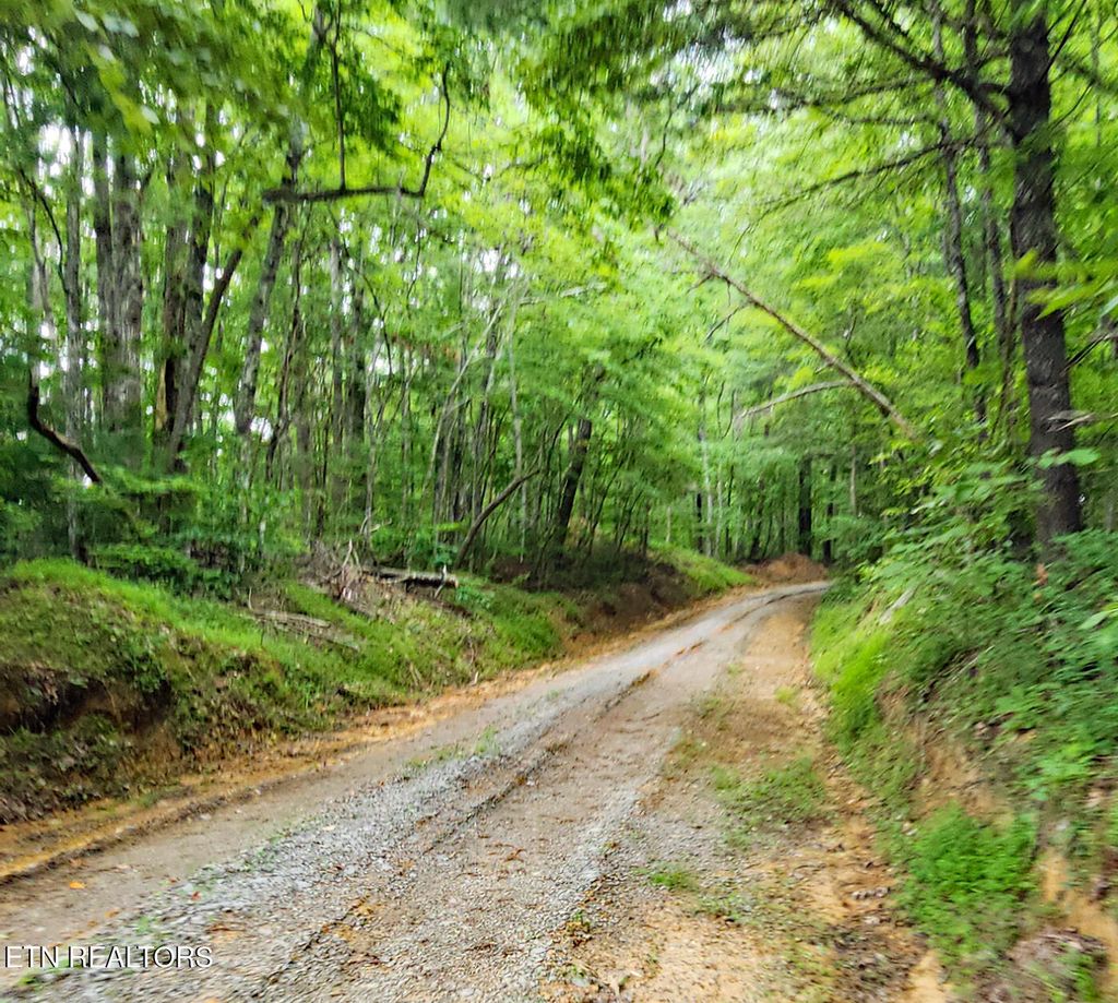 Photo of 249 Arthur McCormick Rd, Lancing, TN 37770 (MLS # 1321256)