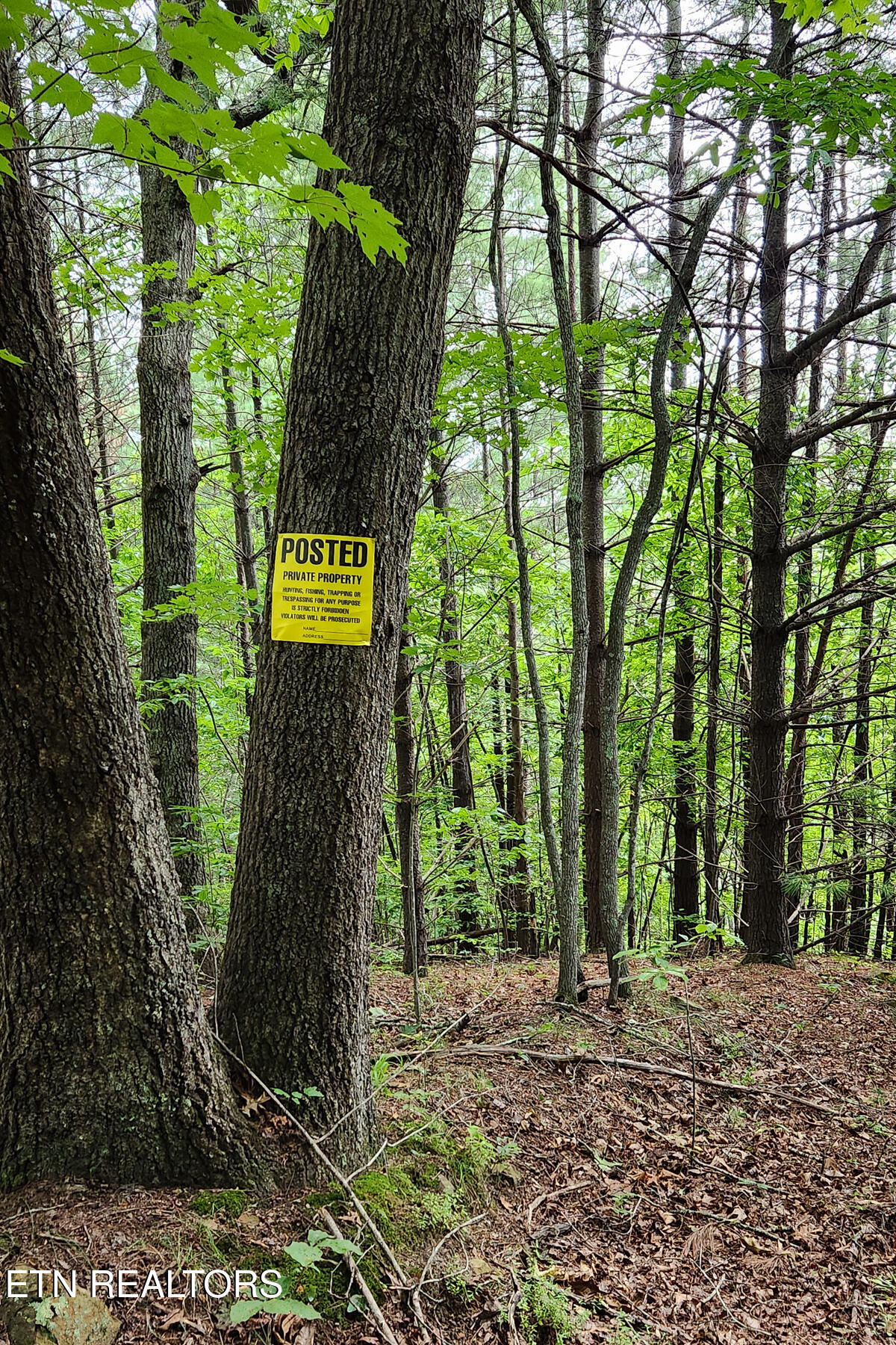 249 Arthur McCormick Rd