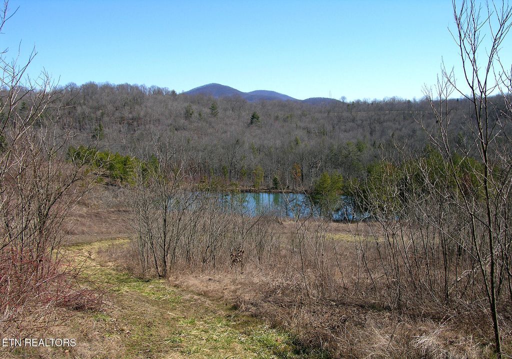 Photo of 249 Arthur McCormick Rd, Lancing, TN 37770 (MLS # 1321256)