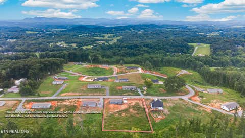Tiny photo for 245 Laura Boling Loop Rd, Strawberry Plains, TN 37871 (MLS # 1349805)