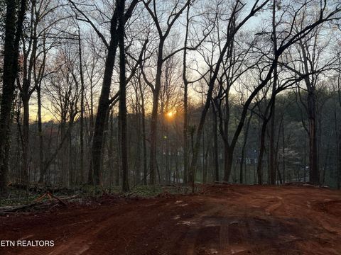 Tiny photo for 2 Montlake Drive, Knoxville, TN 37920 (MLS # 1301923)