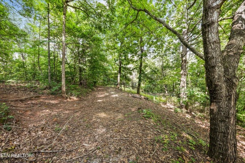Tiny photo for 7247 Brewer Rd, Maryville, TN 37801 (MLS # 1355473)