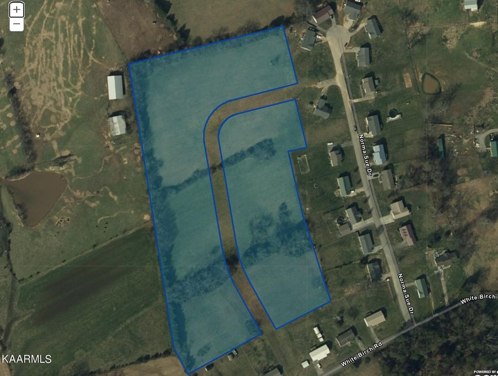 Photo of 3488 White Birch Rd, White Pine, TN 37890 (MLS # 1236281)