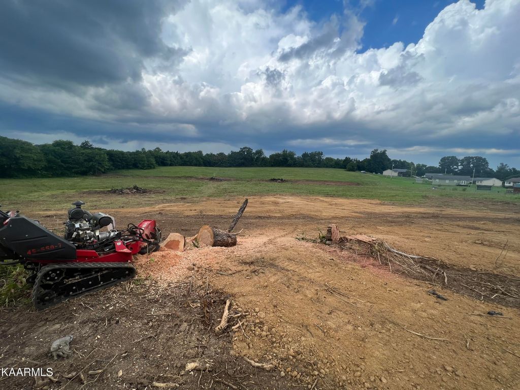 Photo of 3488 White Birch Rd, White Pine, TN 37890 (MLS # 1236281)