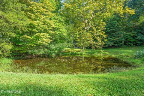 Tiny photo for 745 Blockhouse Valley Rd, Clinton, TN 37716 (MLS # 1355711)