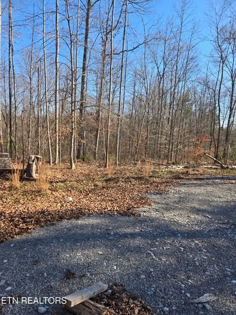 1434 Catoosa Rd Wartburg TN 37887