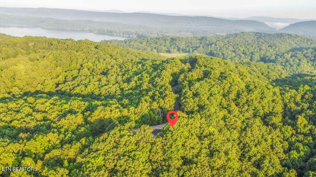 Photo of 140 Mary Brown Lane, Rockwood, TN 37854 (MLS # 1307982)