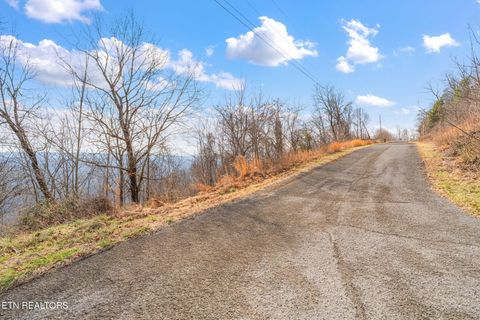Tiny photo for Clinch View Rd, Tazewell, TN 37879 (MLS # 1327379)
