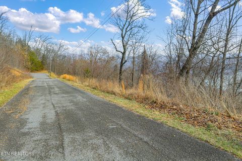 Tiny photo for Clinch View Rd, Tazewell, TN 37879 (MLS # 1327379)