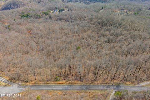 Tiny photo for Clinch View Rd, Tazewell, TN 37879 (MLS # 1327379)