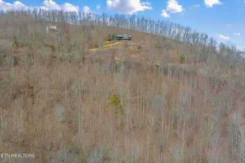 Tiny photo for Clinch View Rd, Tazewell, TN 37879 (MLS # 1327379)