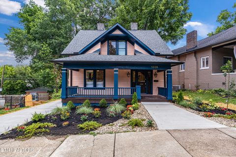 Photo of 1028 Luttrell St, Knoxville, TN 37917 (MLS # 1308071)