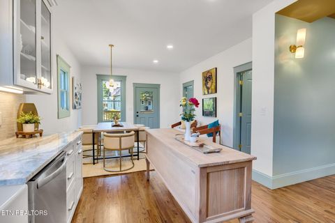 Tiny photo for 1028 Luttrell St, Knoxville, TN 37917 (MLS # 1308071)