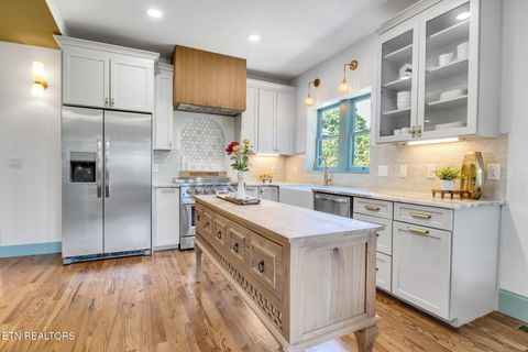 Tiny photo for 1028 Luttrell St, Knoxville, TN 37917 (MLS # 1308071)