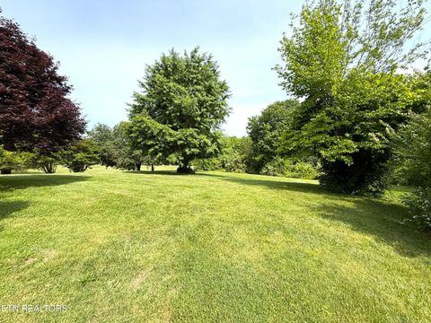 Tiny photo for 9608 Asheville Hwy, Strawberry Plains, TN 37871 (MLS # 1339736)