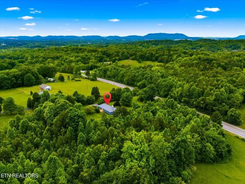 Tiny photo for 9608 Asheville Hwy, Strawberry Plains, TN 37871 (MLS # 1339736)