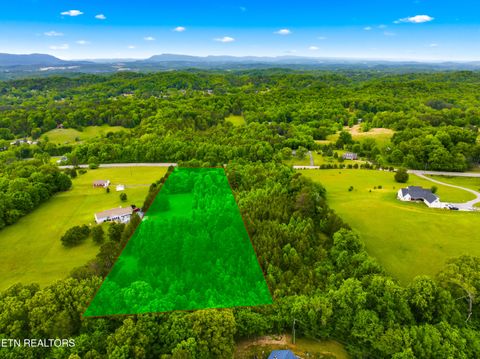 Tiny photo for 9608 Asheville Hwy, Strawberry Plains, TN 37871 (MLS # 1339736)