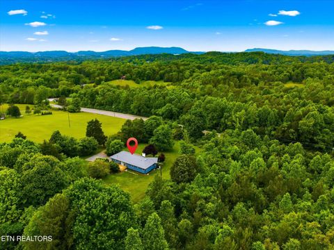 Tiny photo for 9608 Asheville Hwy, Strawberry Plains, TN 37871 (MLS # 1339736)