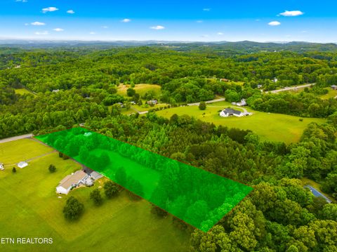 Tiny photo for 9608 Asheville Hwy, Strawberry Plains, TN 37871 (MLS # 1339736)