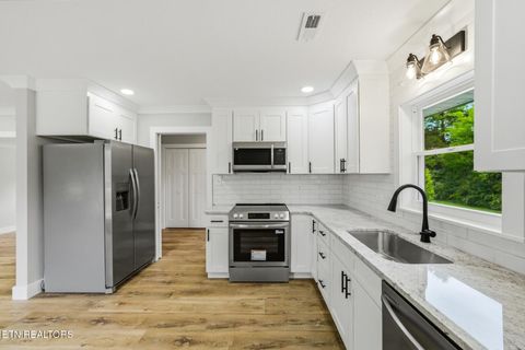 Tiny photo for 9608 Asheville Hwy, Strawberry Plains, TN 37871 (MLS # 1339736)