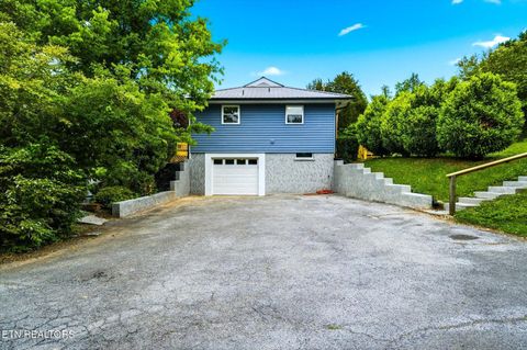 Tiny photo for 9608 Asheville Hwy, Strawberry Plains, TN 37871 (MLS # 1339736)
