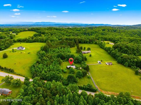 Tiny photo for 9608 Asheville Hwy, Strawberry Plains, TN 37871 (MLS # 1339736)