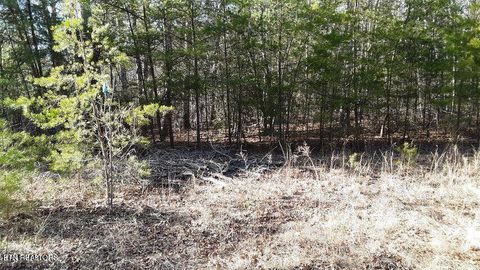 Photo of 14 Clear Fork Drive, Jamestown, TN 38556 (MLS # 1318168)
