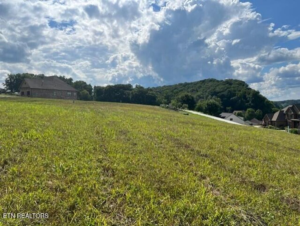 Photo of 530 River Rd, Loudon, TN 37774 (MLS # 1290736)
