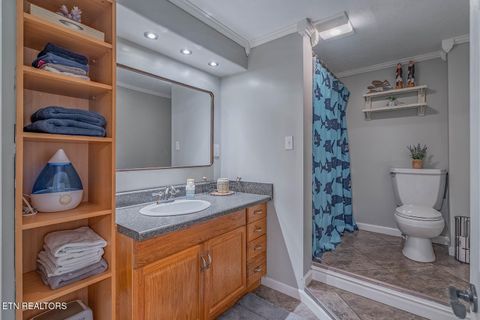 Tiny photo for 151 Gray Knob Rd, Kingston, TN 37763 (MLS # 1342040)