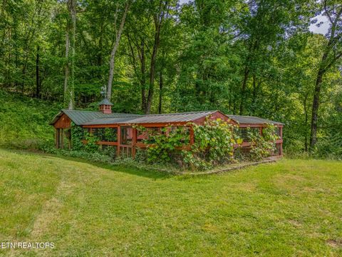 Tiny photo for 151 Gray Knob Rd, Kingston, TN 37763 (MLS # 1342040)