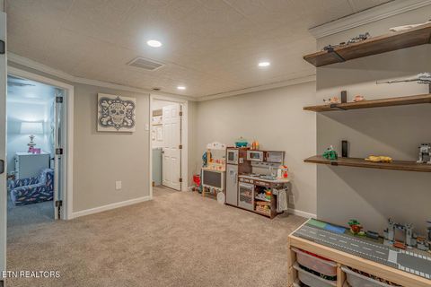 Tiny photo for 151 Gray Knob Rd, Kingston, TN 37763 (MLS # 1342040)