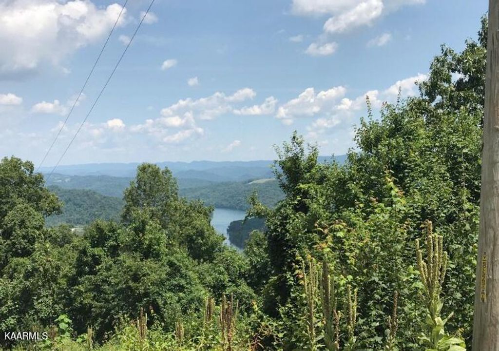 Photo of 193 Clinch View Rd, New Tazewell, TN 37825 (MLS # 1203633)