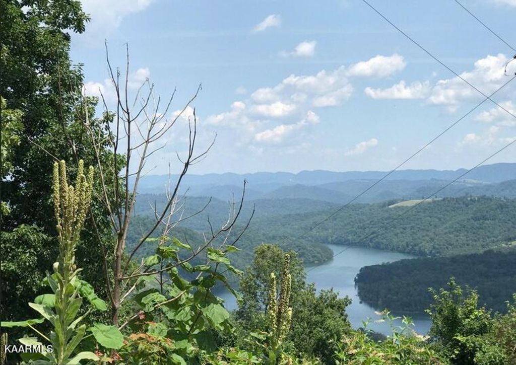 Photo of 193 Clinch View Rd, New Tazewell, TN 37825 (MLS # 1203633)