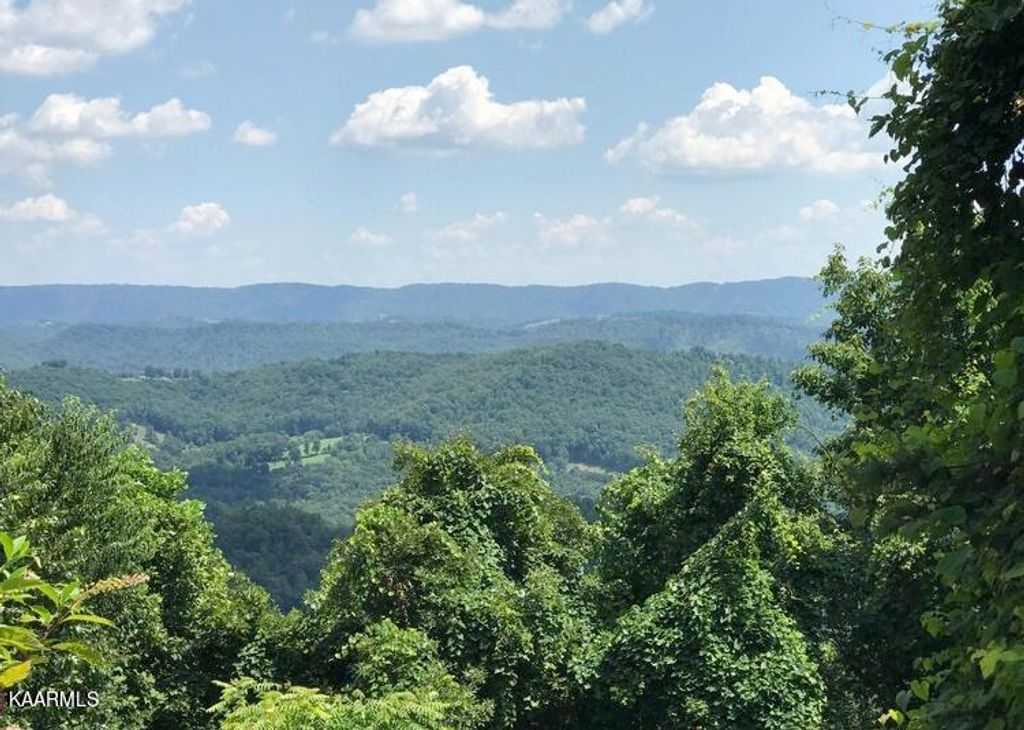 Photo of 193 Clinch View Rd, New Tazewell, TN 37825 (MLS # 1203633)