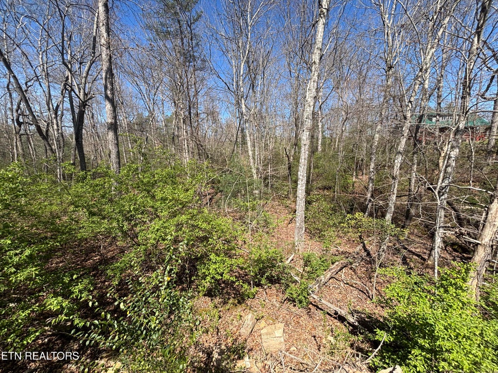 Photo of 5054 Chinook Lane, Crossville, TN 38572 (MLS # 1352629)