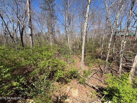 Photo of 5054 Chinook Lane, Crossville, TN 38572 (MLS # 1352629)