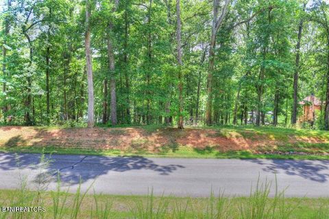 Photo of 55 E Shore Drive, Rockwood, TN 37854 (MLS # 1299839)