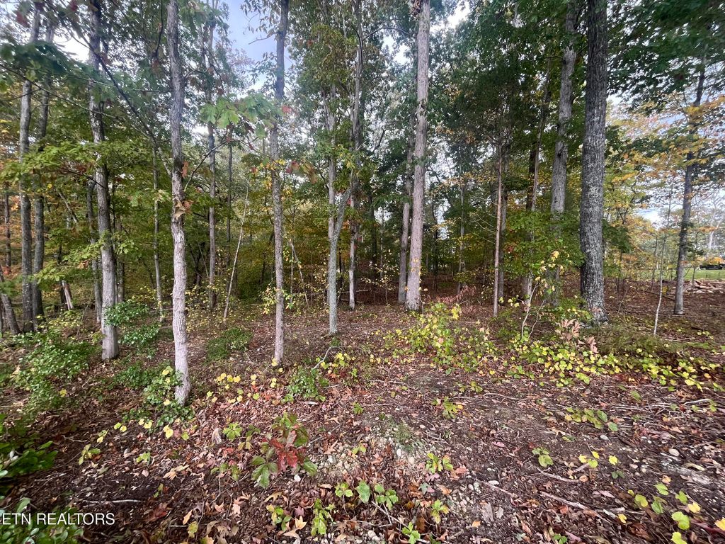 Photo of 55 E Shore Drive, Rockwood, TN 37854 (MLS # 1299839)