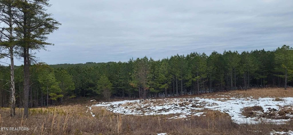 Photo of Lot 13 Stirrup Lane Lane, Jamestown, TN 38556 (MLS # 1328544)