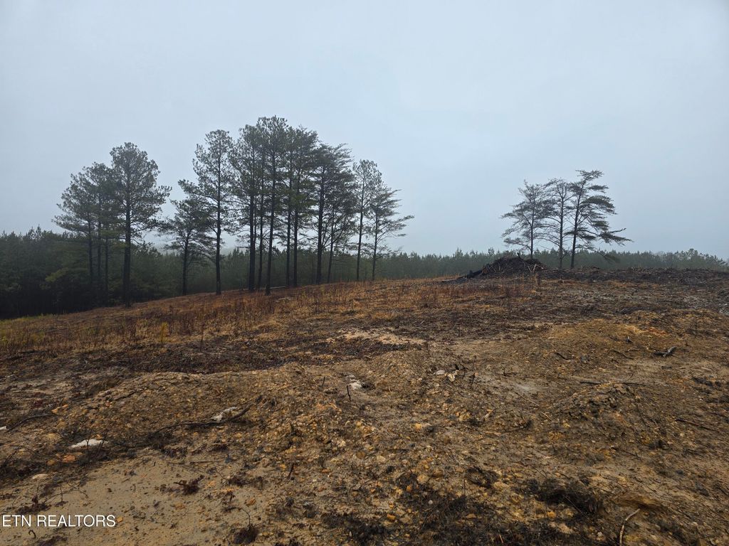 Photo of Lot 13 Stirrup Lane Lane, Jamestown, TN 38556 (MLS # 1328544)