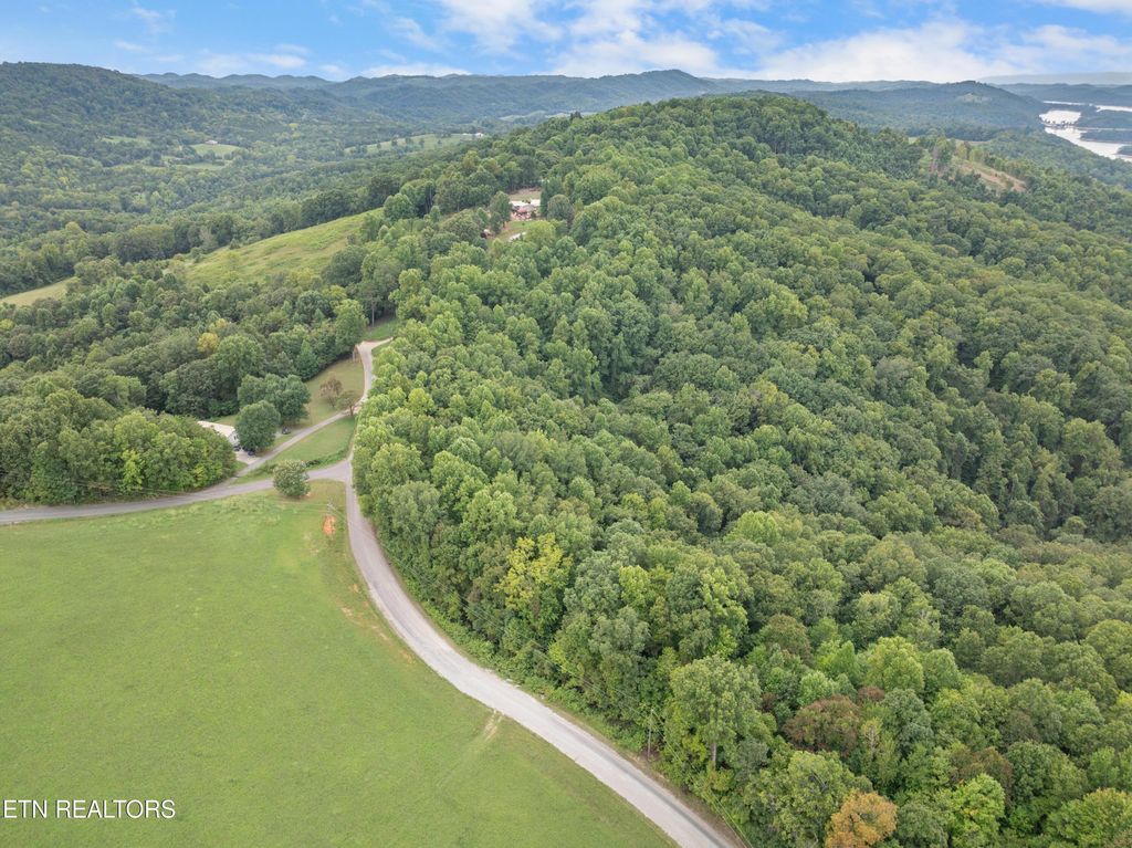 Photo of 295 Bob Wright Rd, Maynardville, TN 37807 (MLS # 1275652)