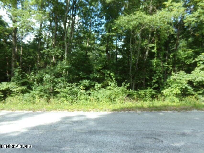 2405 White Horse Drive