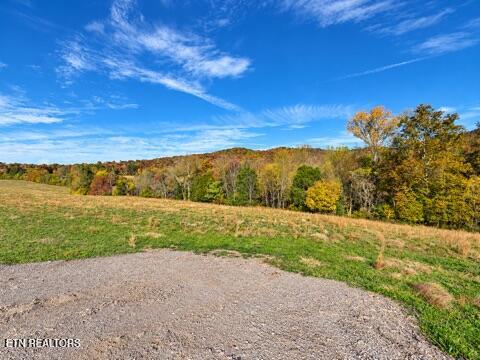 Tiny photo for 1285 N York Hwy, Byrdstown, TN 38549 (MLS # 1360286)