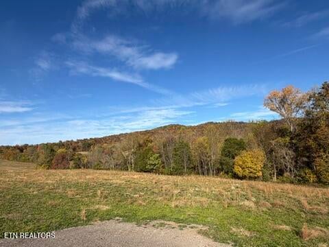 Tiny photo for 1285 N York Hwy, Byrdstown, TN 38549 (MLS # 1360286)