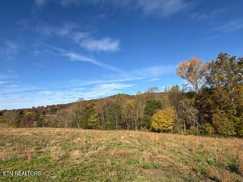 Tiny photo for 1285 N York Hwy, Byrdstown, TN 38549 (MLS # 1360286)