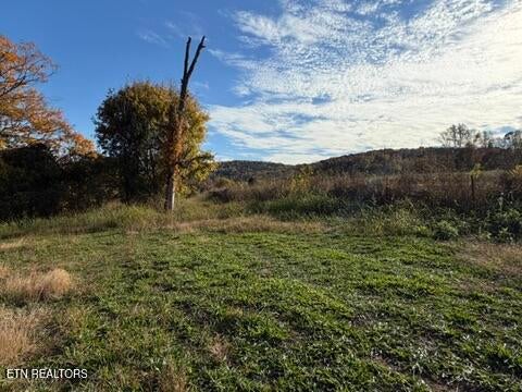 Tiny photo for 1285 N York Hwy, Byrdstown, TN 38549 (MLS # 1360286)