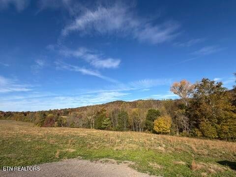 Tiny photo for 1285 N York Hwy, Byrdstown, TN 38549 (MLS # 1360286)