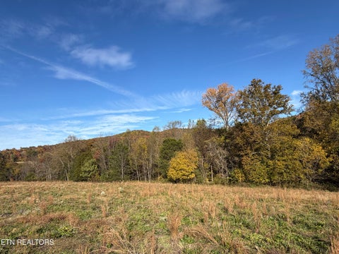 Tiny photo for 1285 N York Hwy, Byrdstown, TN 38549 (MLS # 1360286)