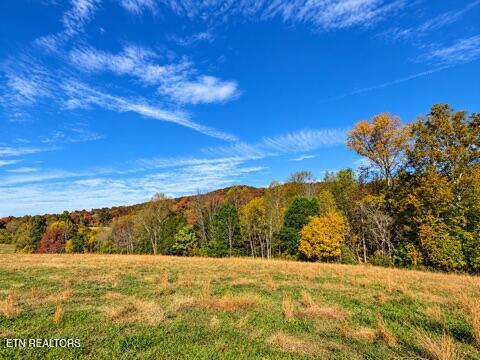Photo of 1285 N York Hwy, Byrdstown, TN 38549 (MLS # 1360286)