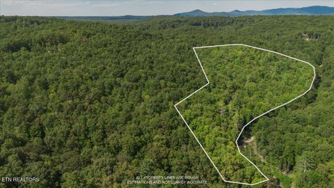 Tiny photo for 755 Bear Branch Rd, Wartburg, TN 37887 (MLS # 1355556)